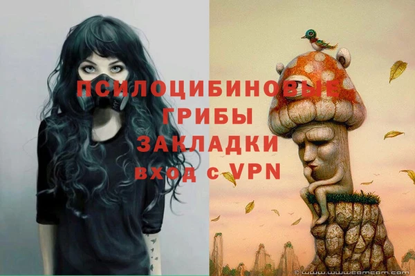 ECSTASY Алексеевка