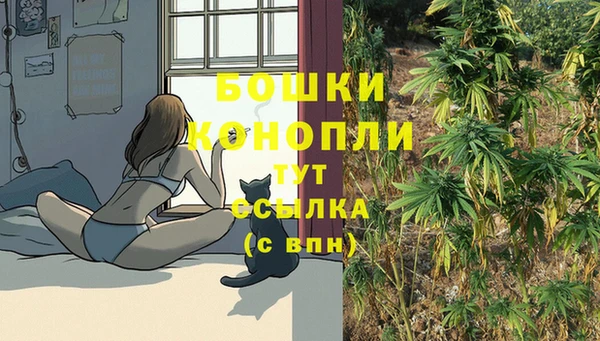 Альфа ПВП Абаза
