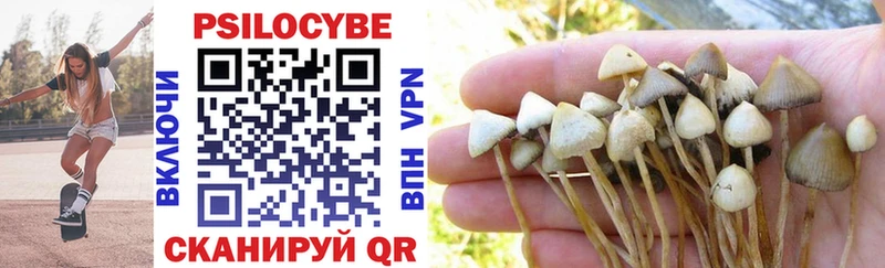 гидра ССЫЛКА как найти закладки Судогда Галлюциногенные грибы Psilocybine cubensis